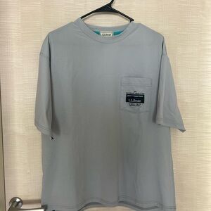 L.L. Bean Gray Men's Shirt